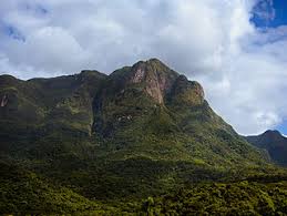 Mata Atlântica ao amanhecer